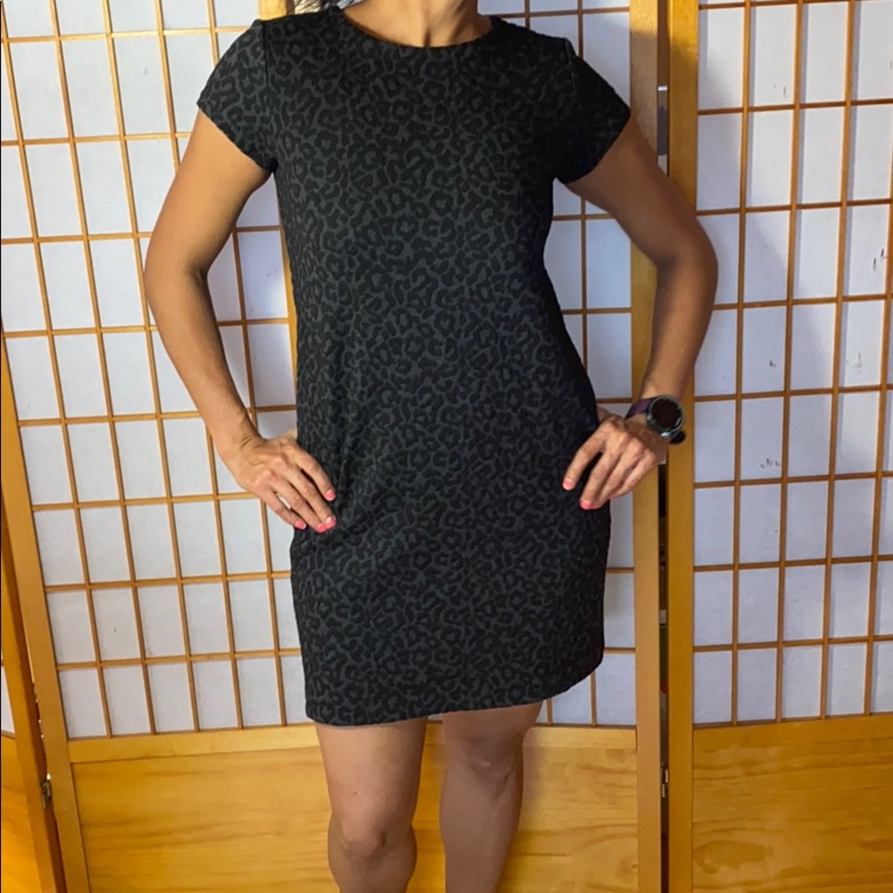 Ann Taylor Loft Dress Settle Leopard print